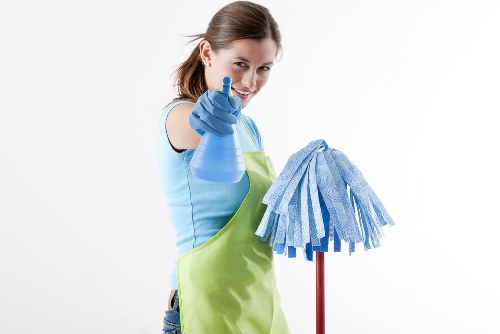 Kidbrooke Carpet Cleaners providing professional local carpet care