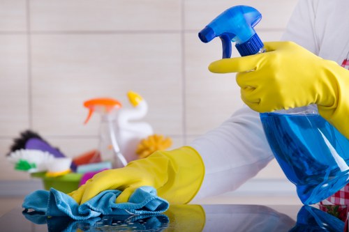 Professional pet stain odour removal in a Kidbrooke home