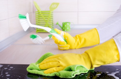 Specialist pet stain odour removal service in Kidbrooke