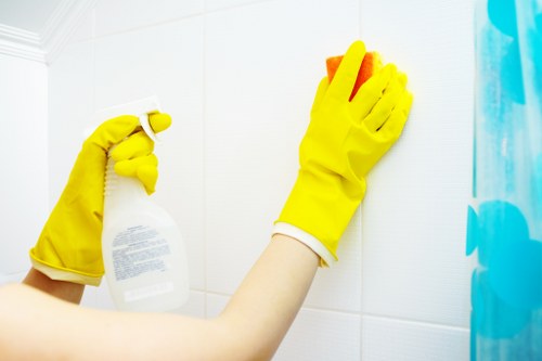 Mattress cleaning process in Kidbrooke with stain and odour treatment